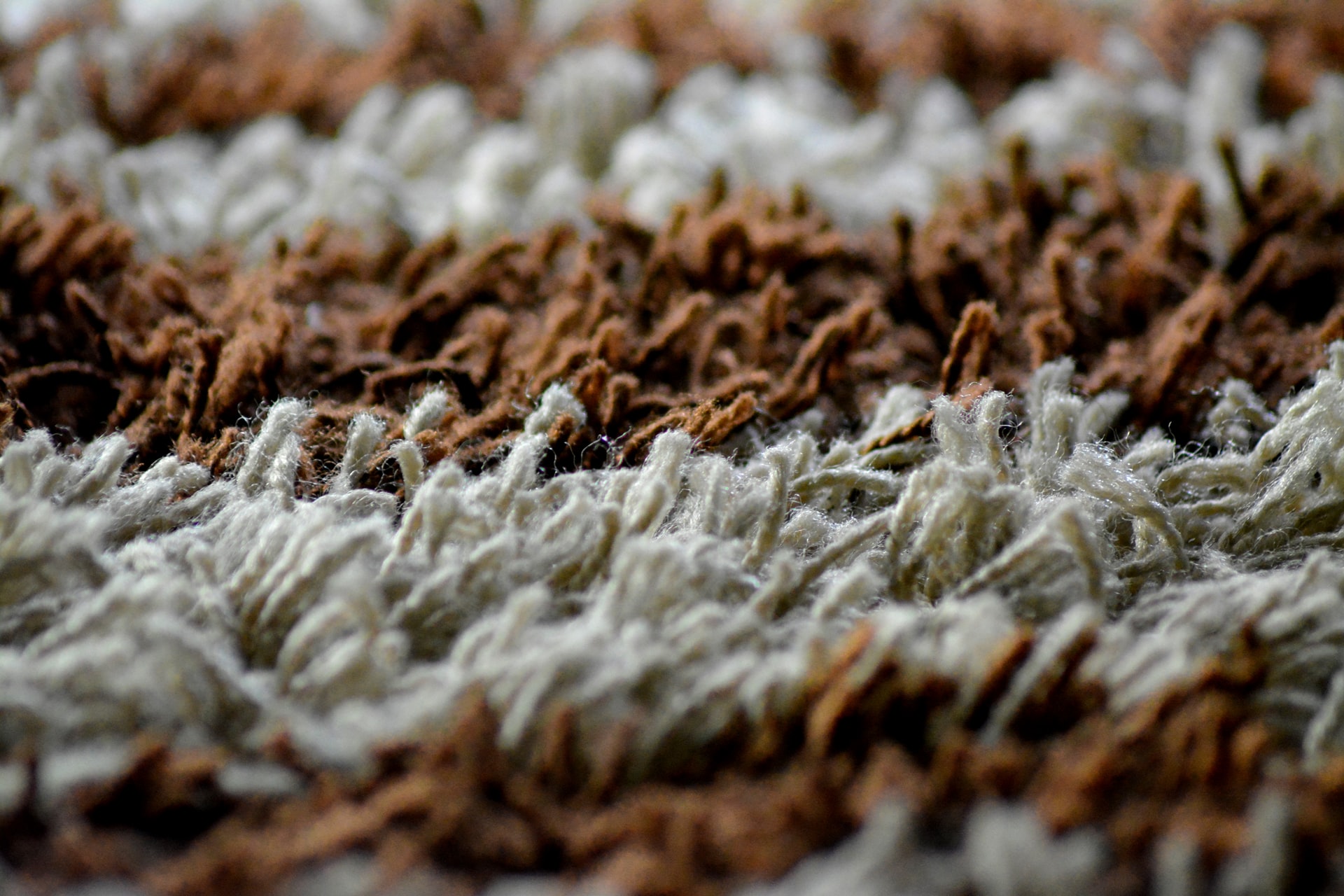 carpet mold -- close up of brown and white striped carpeting