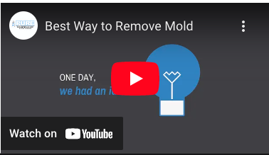 best way to remove mold youtube video mobile