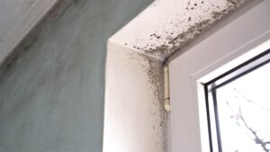 A moldy door frame in a home in Plymouth, Massachusetts before mold removal.